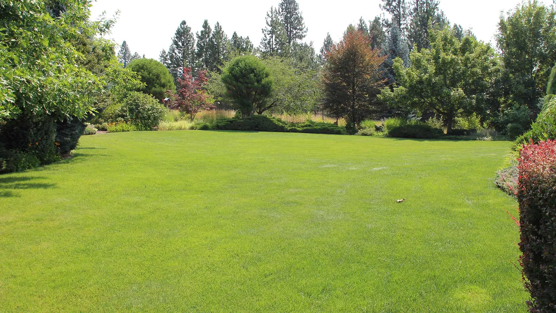 Healthy, green lawn and landscaping in Veradale, WA.