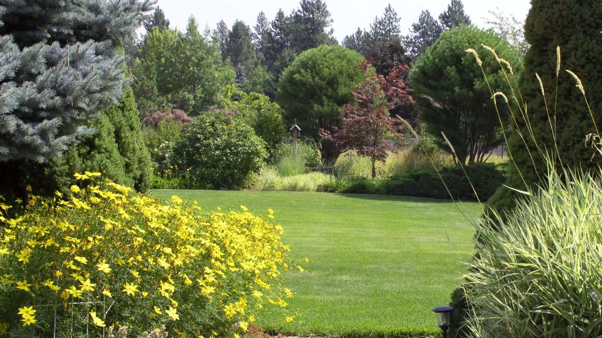 Our lawn care and disease control treatments help this lawn in Liberty Lake, WA stay healthy and green.