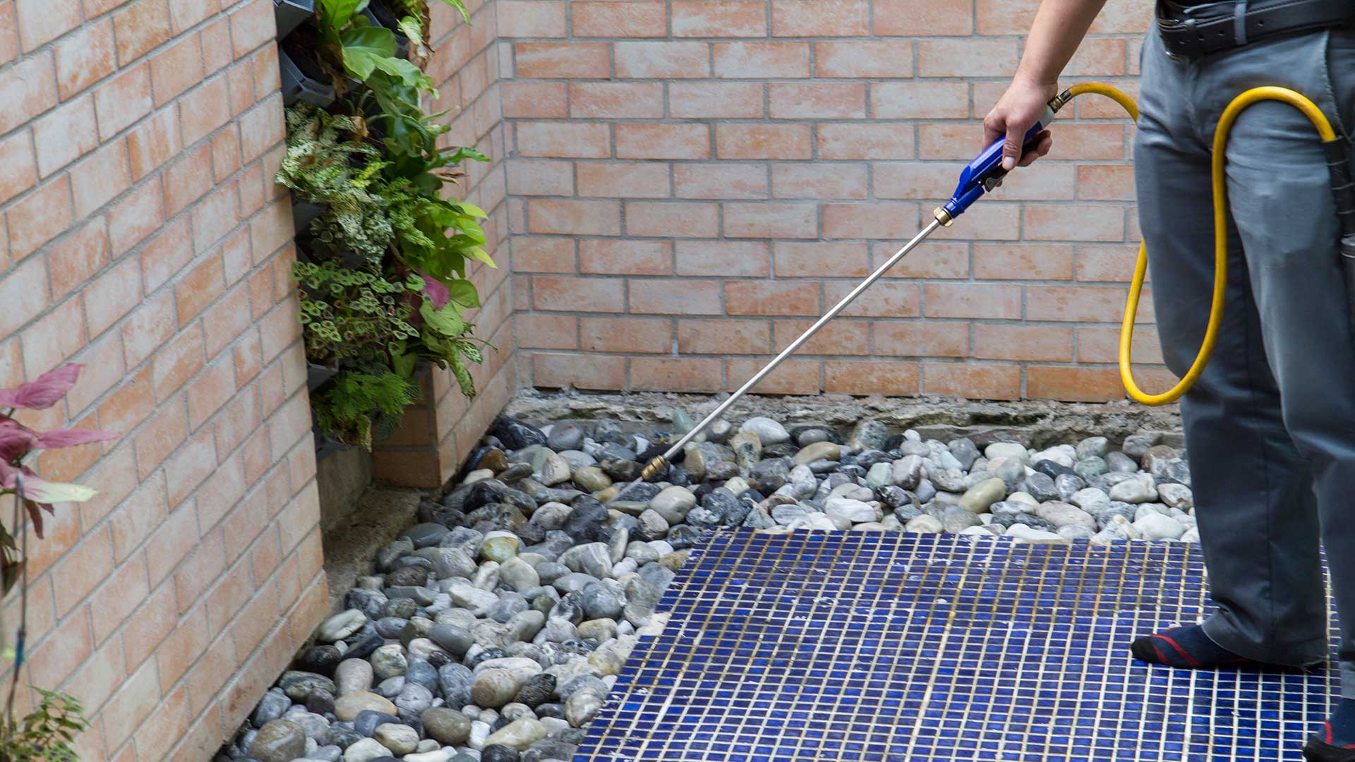 New Sure Green Lawn & Tree Service, Inc. team member spraying a rock landscape bed.