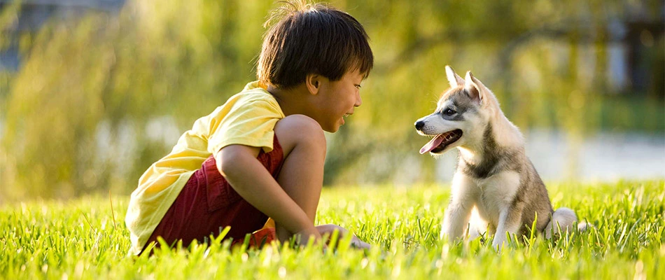 Certain weeds in Spokane and other surrounding areas are toxic to pets and people, like this kid and puppy.