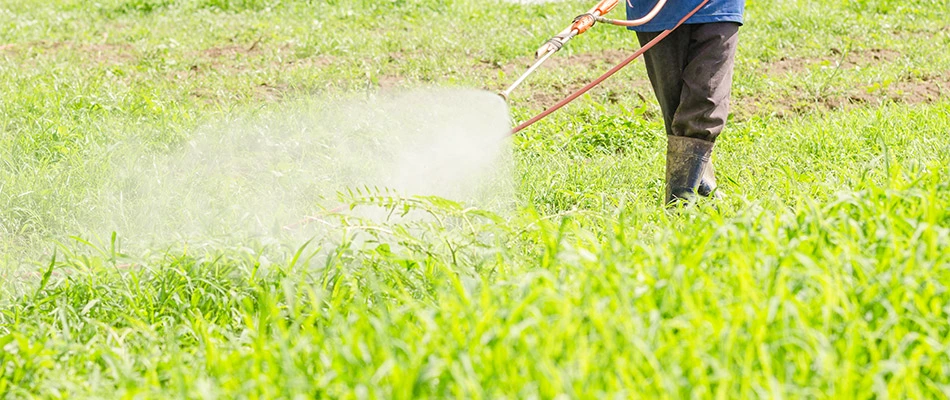 Performing preventative weed control treatment with a spray on a lawn in Spokane.