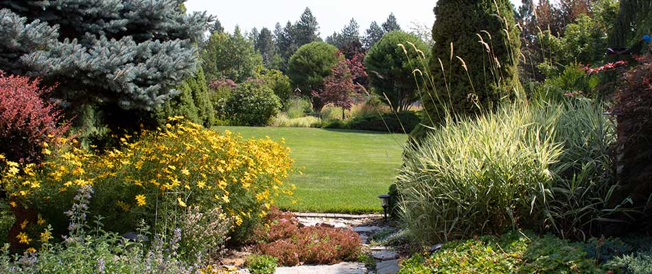 Bright and healthy home lawn with landscaping services in Mead, WA.