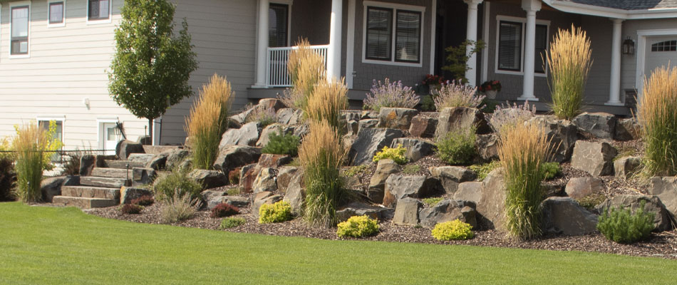 The shrubs on this Spokane property are successfully resisting insect infestations, thanks to our shrub and tree health services.