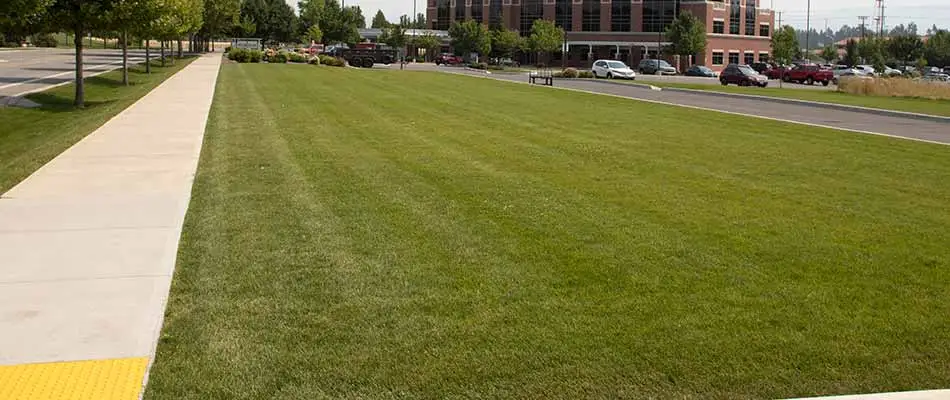 Recently fertilized and mowed business lawn in Millwood, WA.