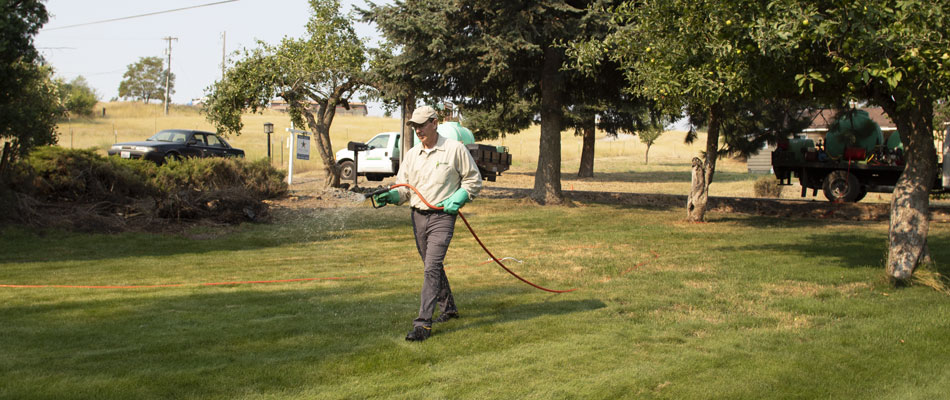 Spraying a pre-emergent herbicide on a residential lawn in Liberty Lake, WA.