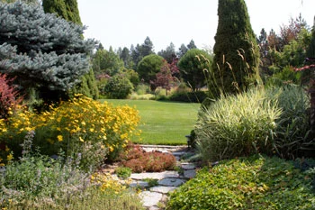 Spraying a shrub in Spokane Valley, WA for preventative health.