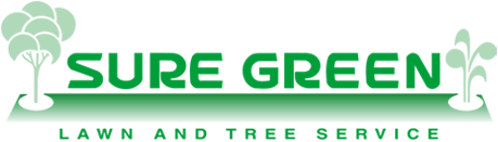 Sure Green Lawn & Tree Service Logo